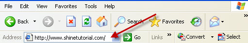 Microsoft Internet Explorer address bar